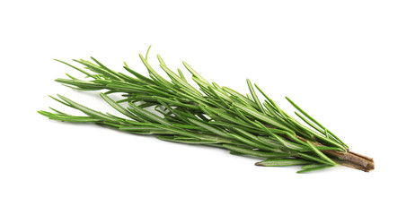 Fototapeta premium Fresh green rosemary isolated on white. Aromatic herb