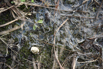 frozen puddle ice winter