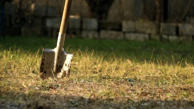 Shovel in the ground at sunny day. Early spring gardening. Digging meadow for planting. Farming industry. Cultivation concept 