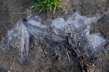 frozen puddle ice winter