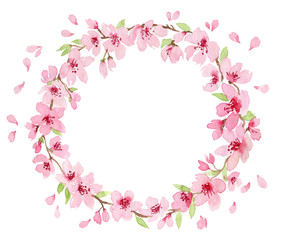 Fototapeta premium Watercolor wreath with branch of delicate pink blooming flowers, bud and leaves isolated on white background. branch of cherry blossoms. Botanical illustration perfect for design greetings, prints,