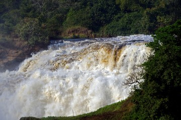 The Murchison Falls in Uganda