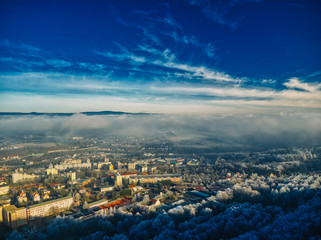 Obraz premium aerial view of Pine trees forest on cold winter morning