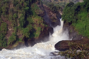 The Murchison Falls in Uganda