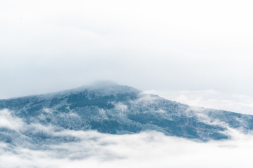 mountains with trees and fog in monochrome color space for text white blue rural calm