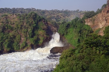 Fototapeta na wymiar The Murchison Falls in Uganda