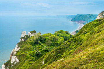 Beer Head looking towards Branscombe Mouth