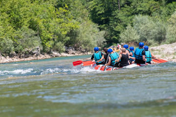Rafting team goes down the river on the beautiful sunny day. Back view.
