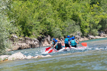 Rafting team goes down the river on the beautiful sunny day. Back view.