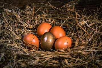 un nid fait de paille avec 5 œufs dont un en or