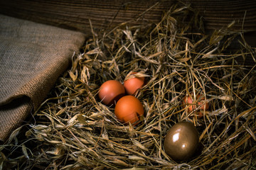 des œufs de poule dans de la paille avec un oeuf en or