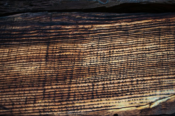 vintage rough wood surface