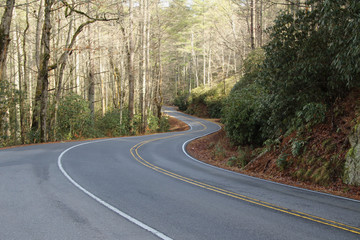 Curivng Towards Adventure