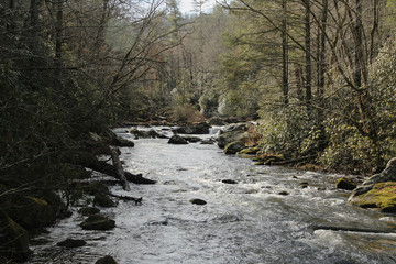 Looking Upstream