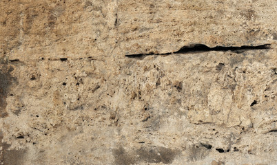 limestone rock with remains of marine animals