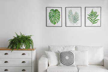 Beautiful paintings of tropical leaves over sofa in living room interior