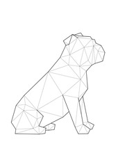 Low poly illustrations of dogs. English Bulldog sitting on white background.