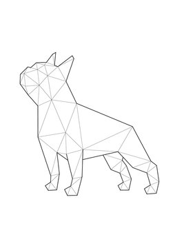 Low poly illustrations of dogs. French Bulldog standing.