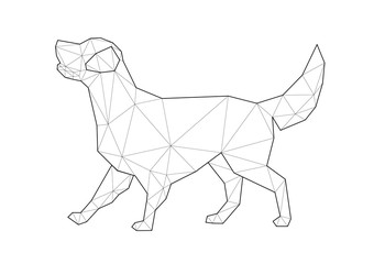 Low poly illustrations of dogs. Labrador walking on white background.