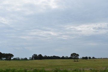 Fototapeta premium Cloudy Sky