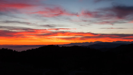 Dramatic red sky on dark woodland