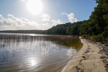 sunset summer day on sandy beach hourtin lake in France