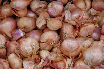 High angle close-up view of box of shallots on display for sale at a market stand
