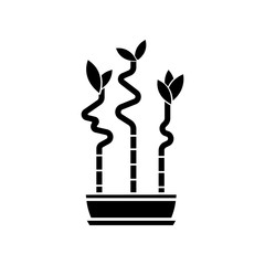 Lucky bamboo stems in pot black glyph icon. Dracaena sanderiana. Indoor exotic plant. Small tropical tree. Good feng shui houseplant. Silhouette symbol on white space. Vector isolated illustration