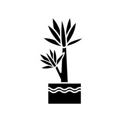 Yucca black glyph icon. Small exotic indoor palm. Mexican tree. Decorative houseplant with pointed leaves. Natural home, office decor. Silhouette symbol on white space. Vector isolated illustration