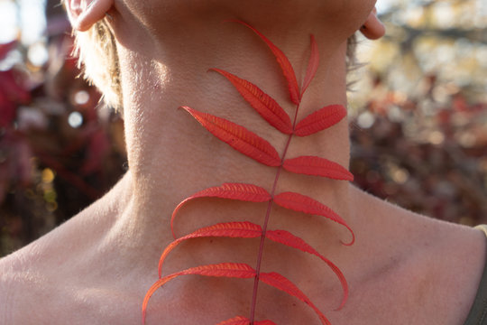 Red leaves of a plant against the background of a woman's body somatic motive.