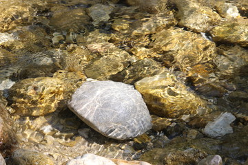 Fototapeta na wymiar Stone below water stream in a river in Hungary.