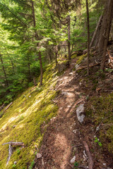 Fototapeta na wymiar Mountain Trail in British Columbia, Canada. Mountains Background.