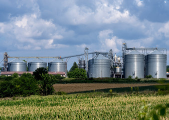 Grain elevator silos