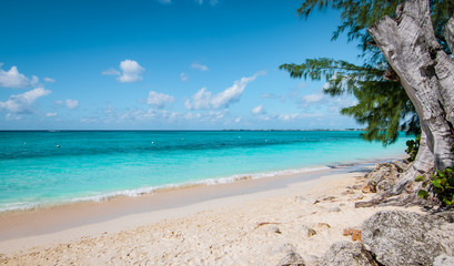 Seven Mile Beach mit weißem Sandstrand, türkisfarbenem Meer und alten Bäumen entlang der Küste der Insel Grand Cayman.