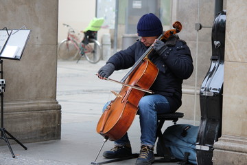 Cello 3