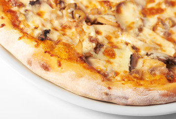 Pizza on a white background