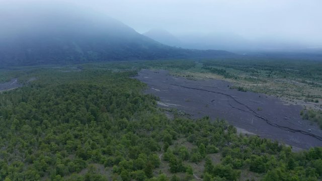 Wide Shot With Drone Over Native Valdivian Temperate Rainforest In A Cloudy Sky Morning, With Thaws From The Osorno Volcano