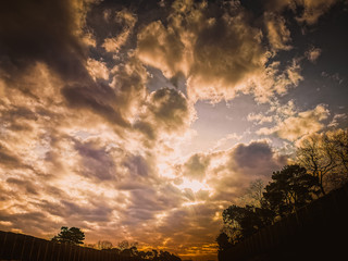 Beautiful dark sky sunset background with clouds and some bare trees