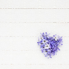 Heart of hyacinth flowers on a white lace tablecloth. Valentines Day concept. Top view, copy space