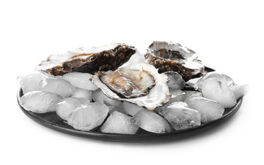 Plate with tasty cold oysters on white background