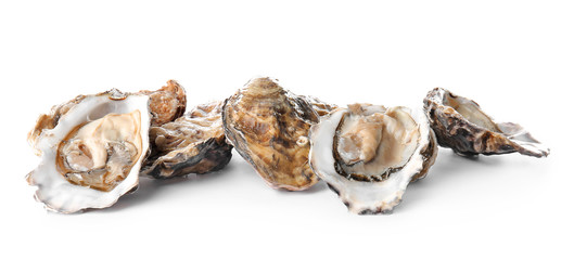 Tasty oysters on white background