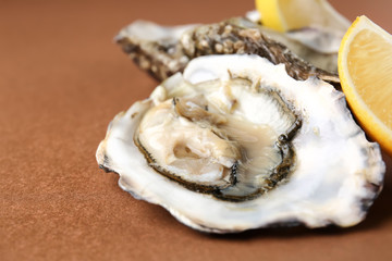 Fototapeta na wymiar Tasty oysters with lemon on color background, closeup