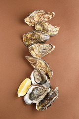 Tasty oysters with lemon on color background