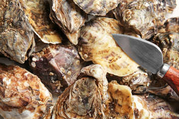 Tasty oysters with knife, closeup