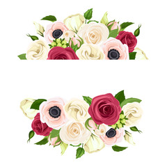 Vector banner with red, pink and white roses, lisianthuses and anemone flowers and green leaves.