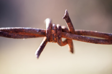zaun