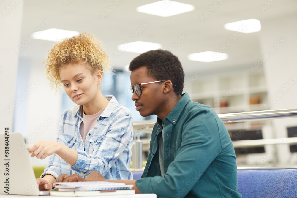 Wall mural portrait of two students pointing at laptop screen while working on project in college library, copy