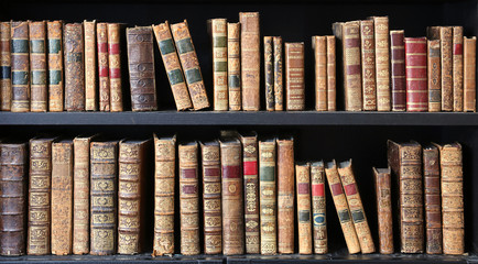 old books on wooden shelf in a library