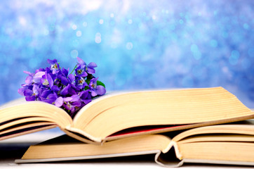 Vintage romantic background with wild violet flowers and old opened books against beautiful bokeh background and copy space for text.