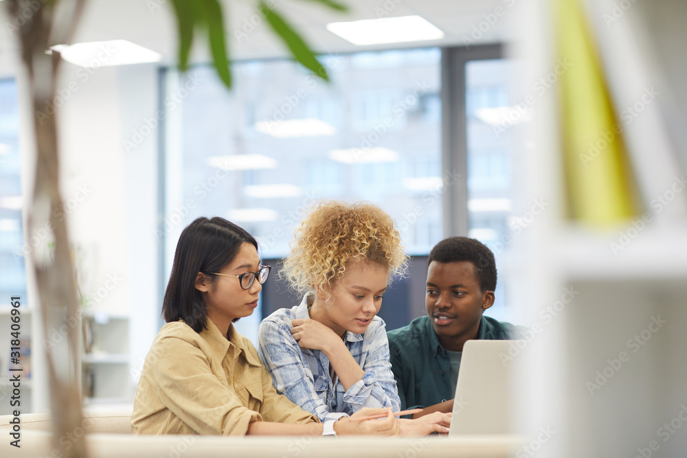 Wall mural portrait of multi-ethnic group of students using laptop together while working on project in library